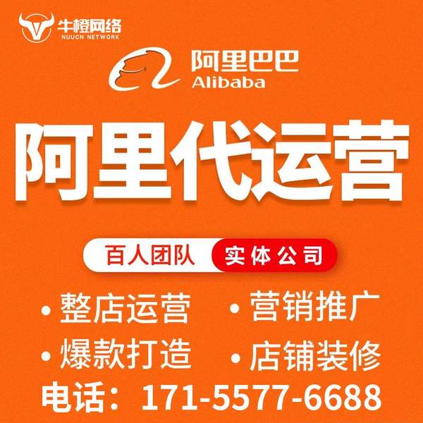 盘锦电商代运营