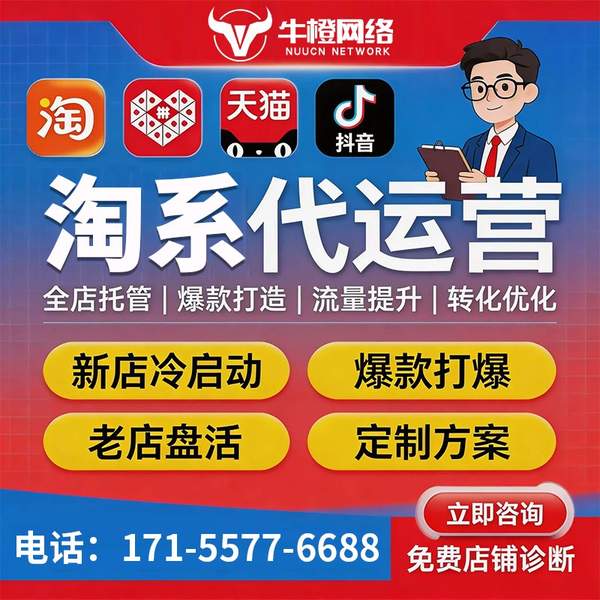 盘锦电商代运营