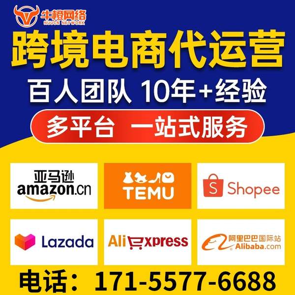 盘锦电商代运营