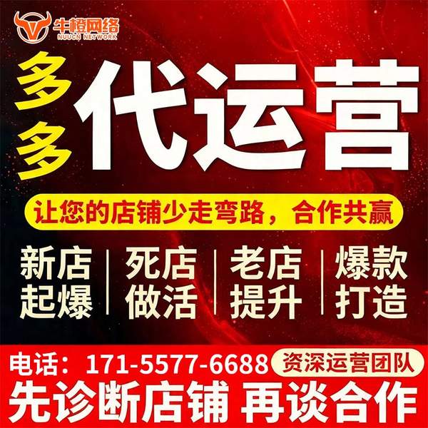 盘锦电商代运营