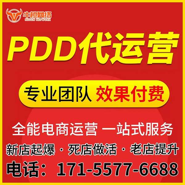 盘锦电商代运营