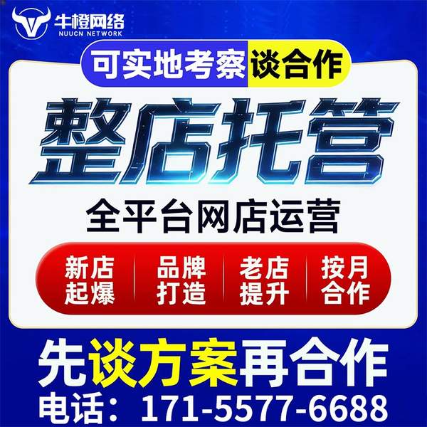 盘锦电商代运营