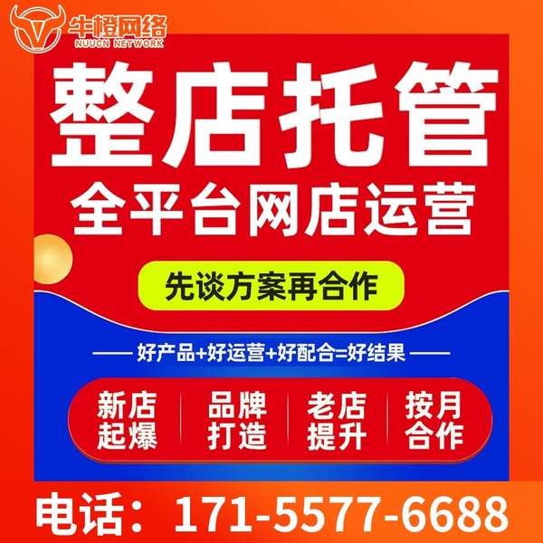 盘锦电商代运营