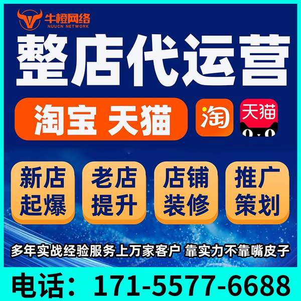 盘锦电商代运营