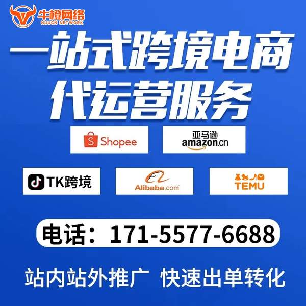 盘锦电商代运营