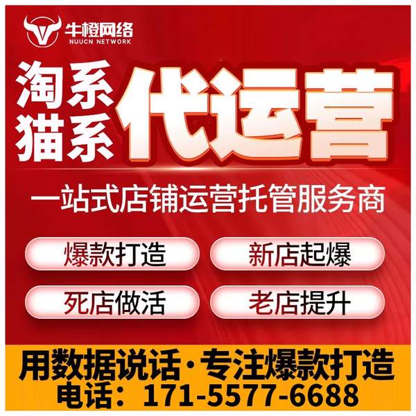 盘锦电商代运营